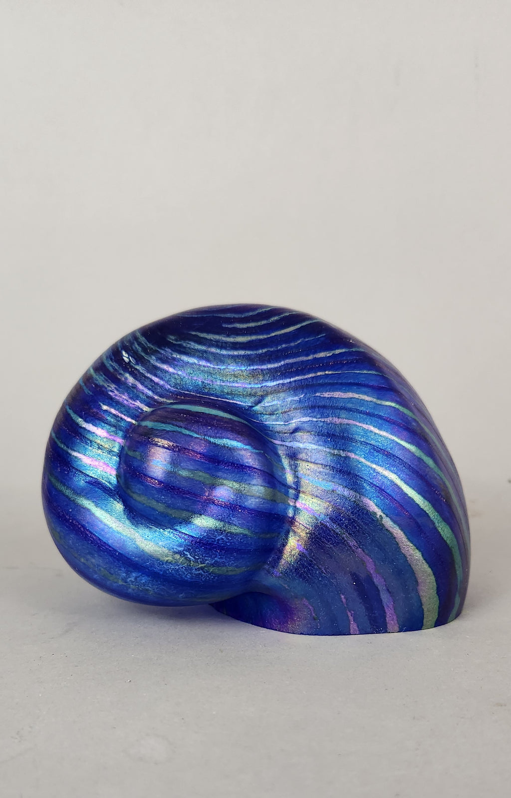 Shell – Carl Radke Art Glass