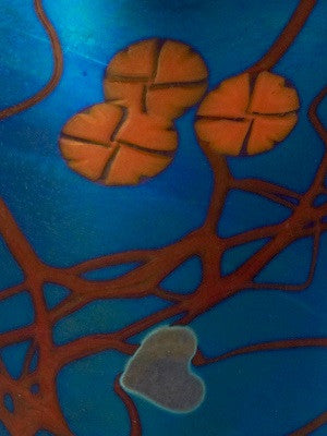 Blue California Poppy Medium  Vase