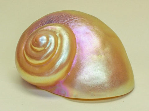 Large Gold Solid Shell