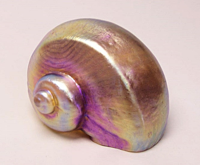 Gold Solid Shell